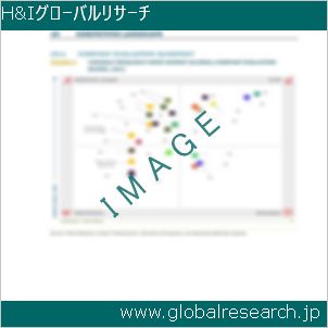 グローバルリサーチ調査レポートのイメージ
